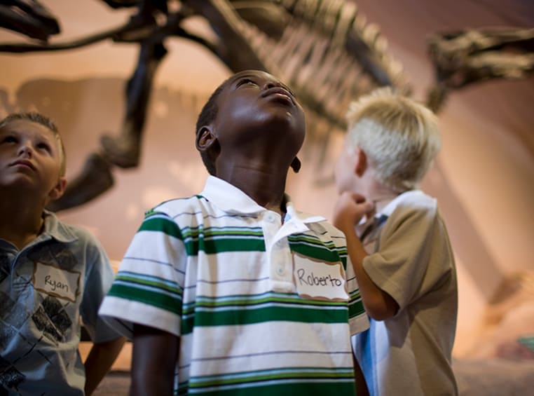 Three little boys exploring dinosaur bones at Fernbank Museum of Natural History.