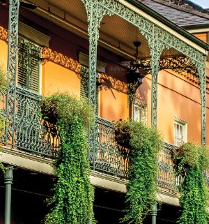 New-Orleans City Guide