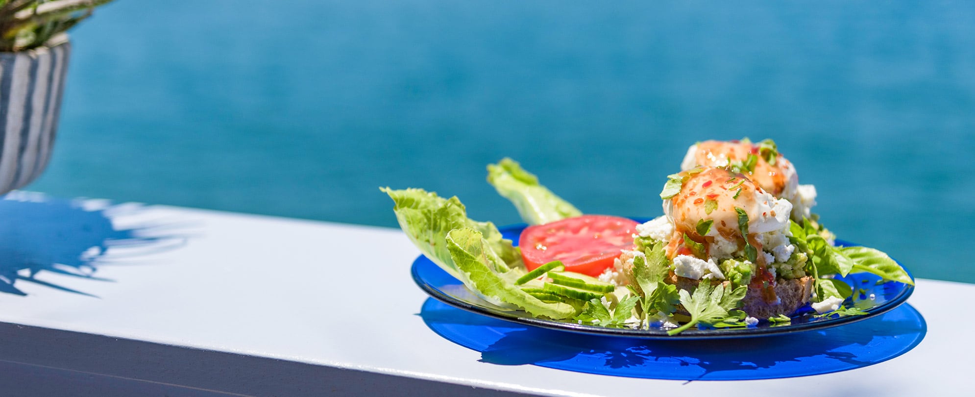 A plate of food with lettuce and tomatoes at a La Jolla, California restaurant.