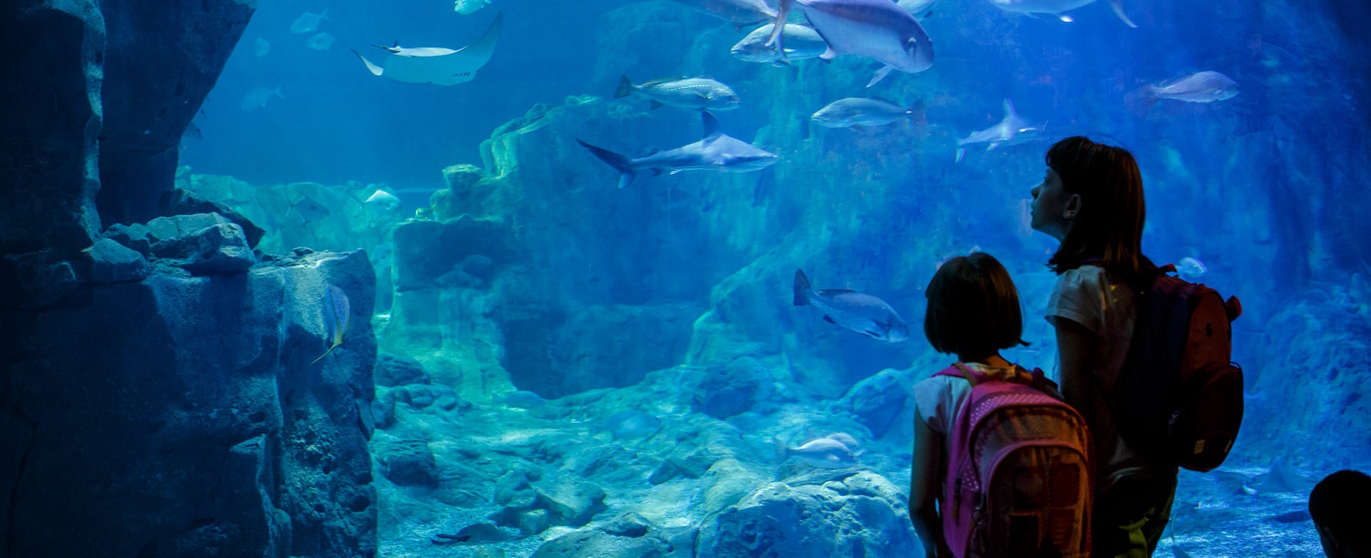 Two young girls wearing backpacks look into the tank of sharks and fish at the SEA LIFE Aquarium in San Diego, California.
