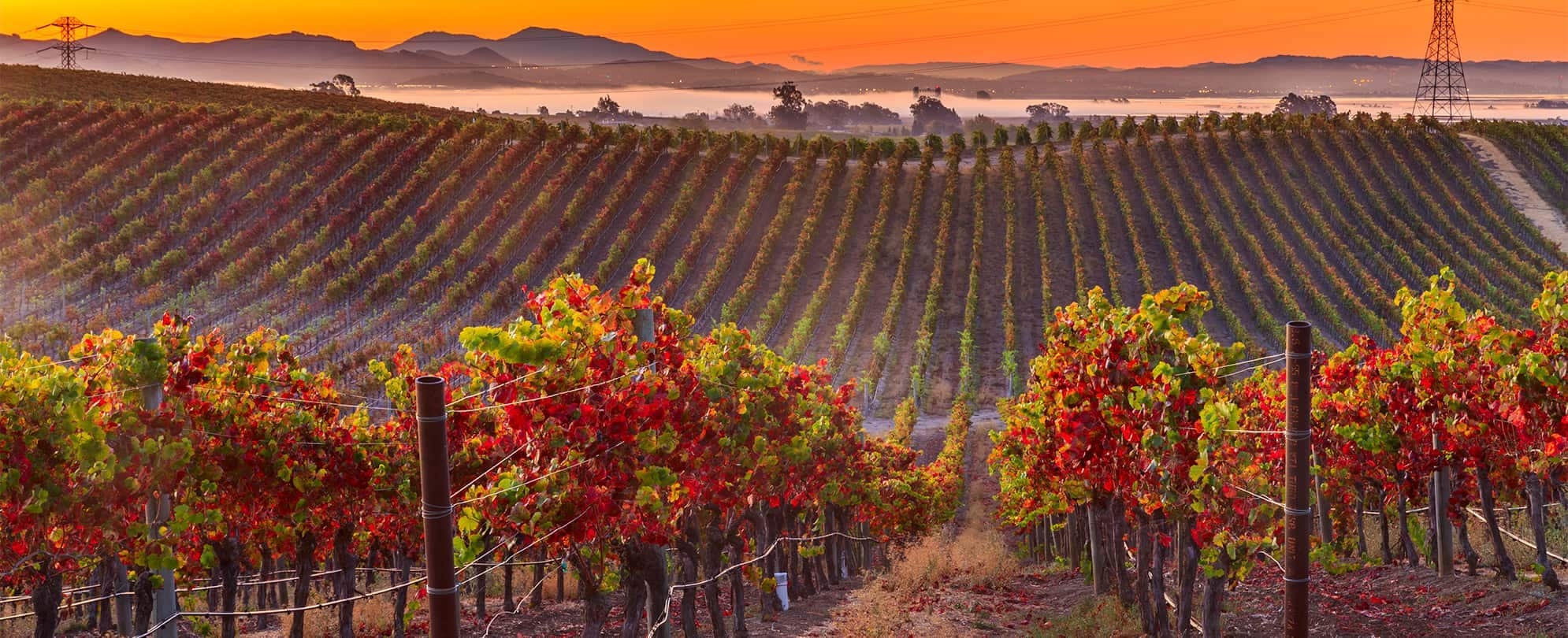 wine country tours from san francisco