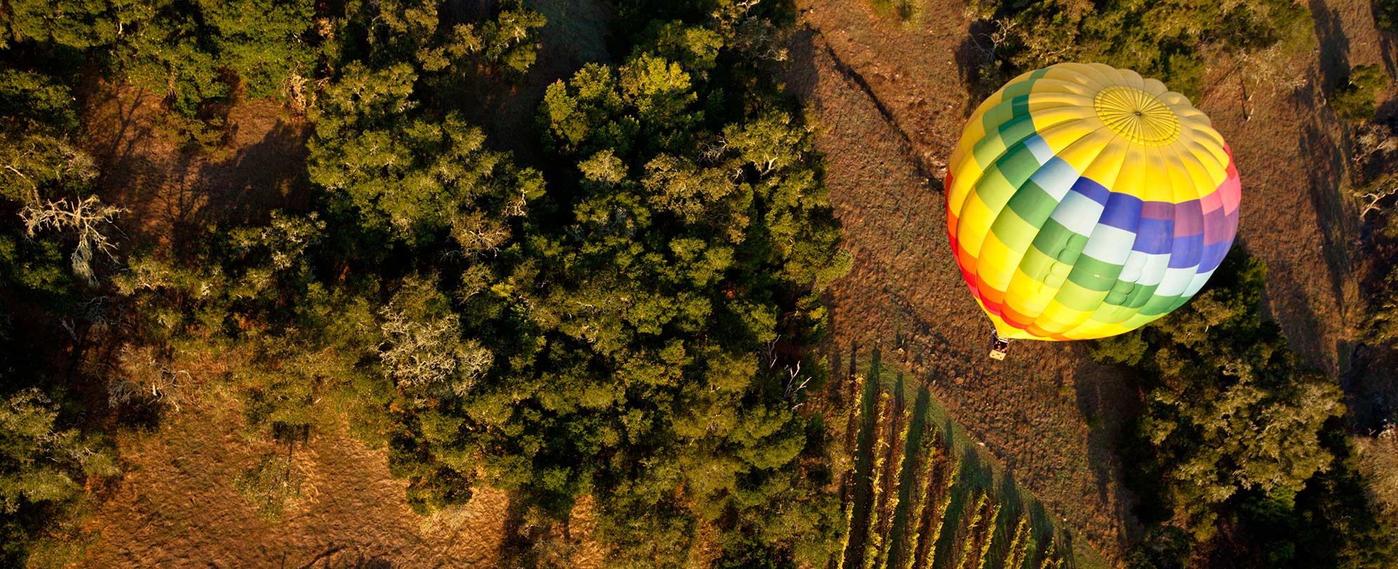 A colorful hot air balloon floats above a vineyard in Napa, California
