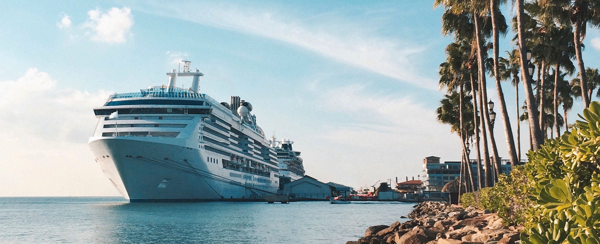 A cruise ship is docked at a Caribbean port with a stony shore and palm trees