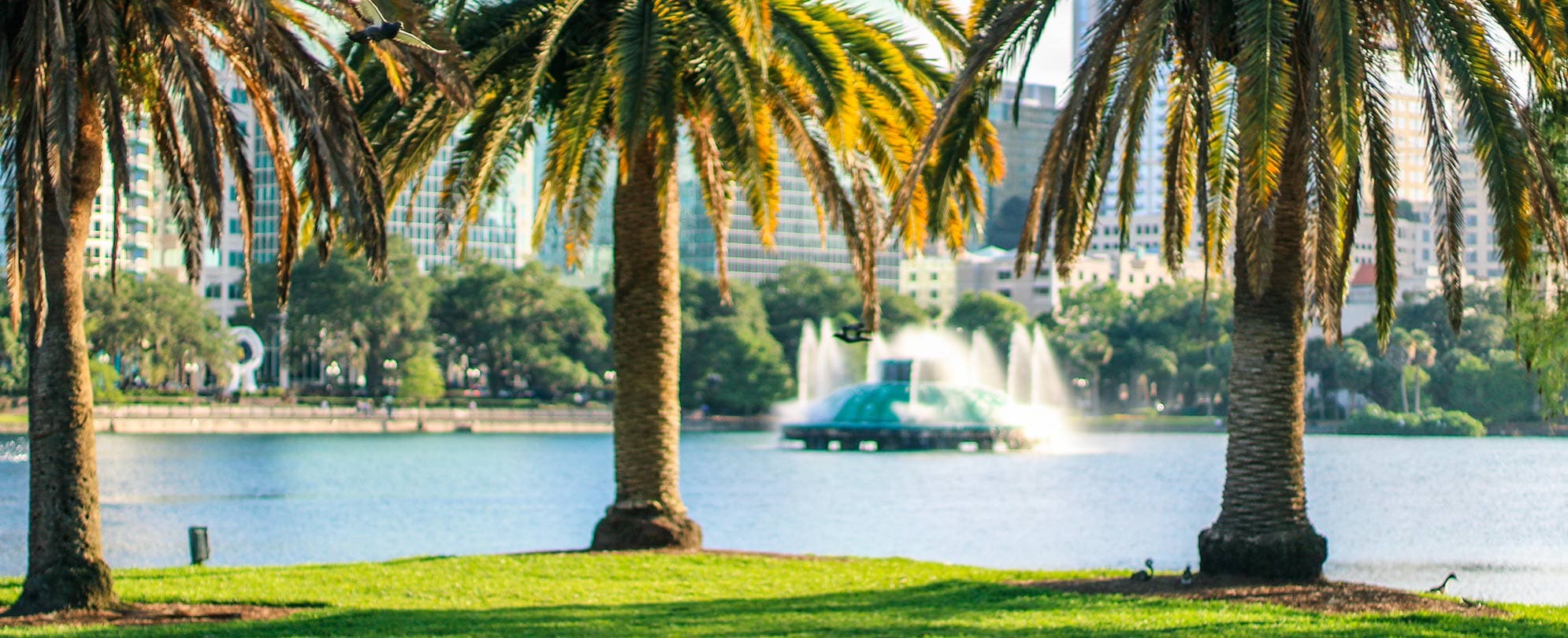 Palm trees overlooking Lake Eola in Orlando, Florida with a large fountain and city buildings