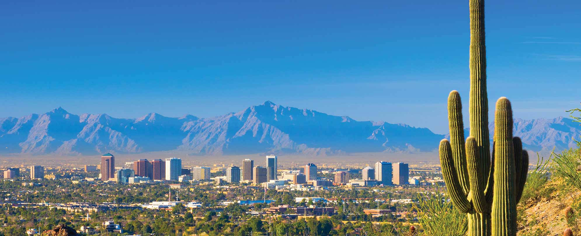 A view of the city and mountains of Phoenix, Arizona from the desert.