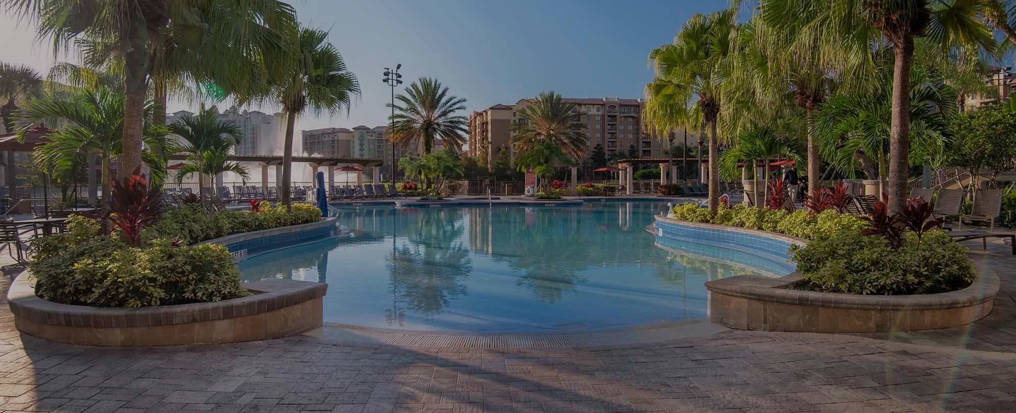 The pool surrounded by palm trees at Club Wyndham Bonnet Creek, a timeshare resort in Orlando, Florida.