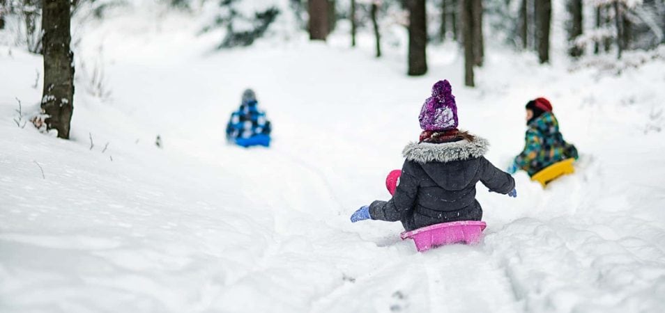 Three kids ride colorful sleds down a hill through a snowy forest.