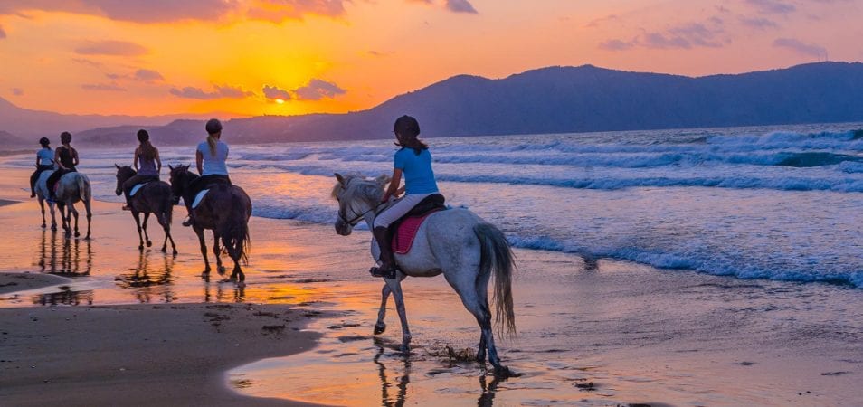 A family of five all horseback riding on a beach shoreline at sunset.