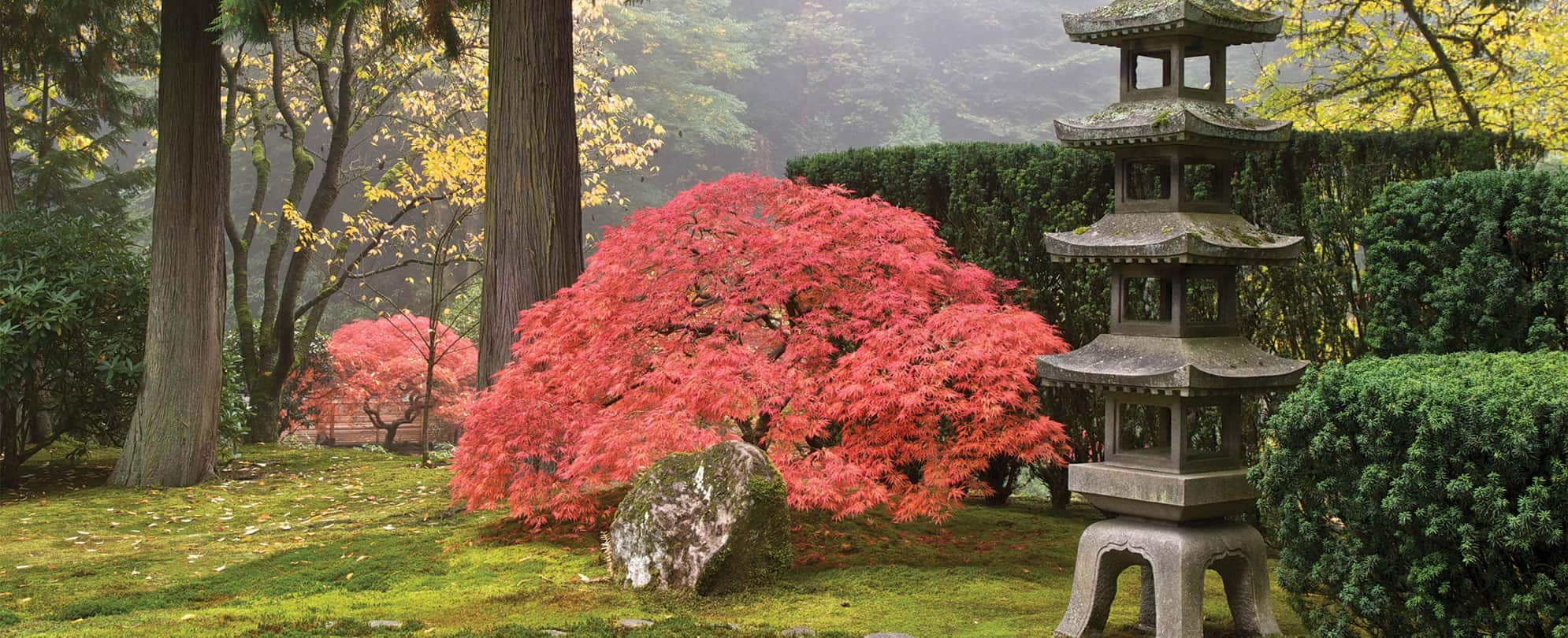 Pink flowers bloom at the Portland Japanese Garden in Oregon