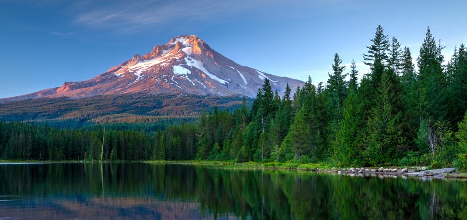 Mount Hood, tall forest trees, and Trilium Lake in Mount Hood National Forest near Portland, Oregon.