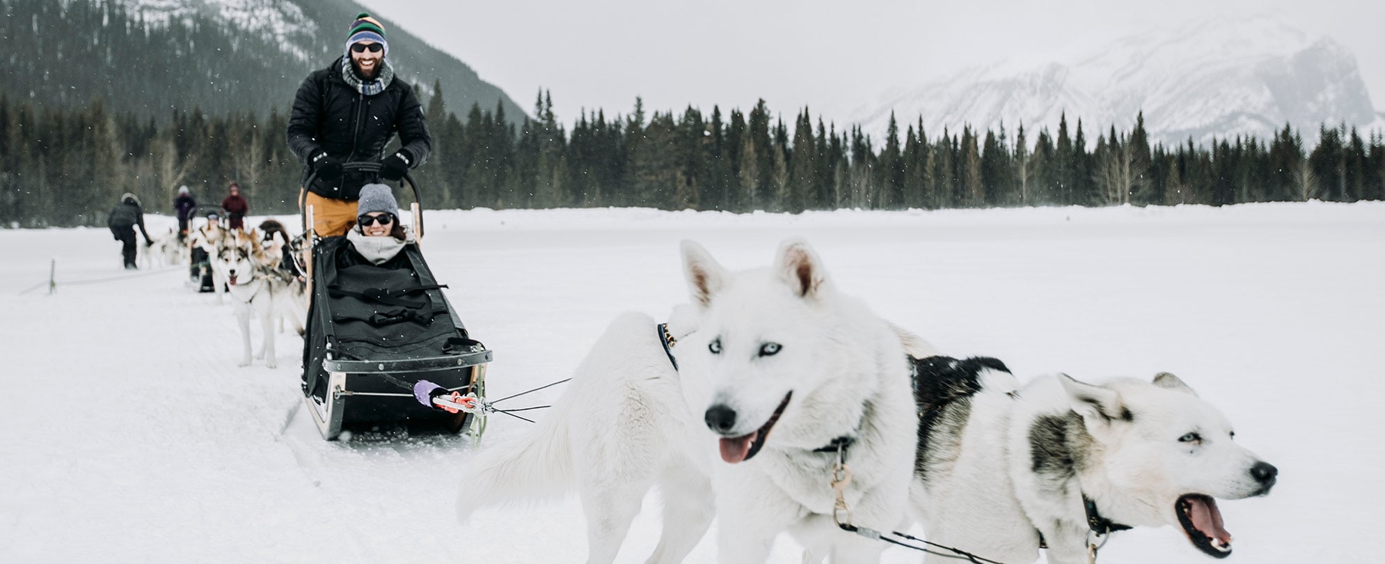 People dog sledding through the snow in Alaska.